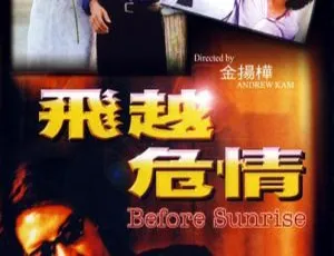 1998大陆经典《飞越危情》：刘锡明张玉珊彭丹主演 国语中字CCTV6高清资源