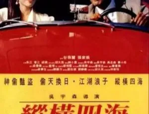 1991 中国大陆经典《纵横四海》国语中字 8.17GB 百度网盘资源