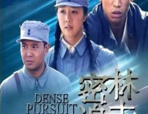 2011 中国大陆《密林追击》国语中字 4.85GB 百度网盘资源
