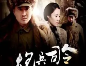 2013 中国大陆经典《炮兵司令朱瑞》国语中字 4.83GB 百度网盘资源