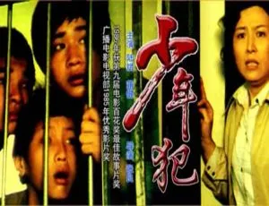 1985 中国大陆经典《少年犯》 国语中字 5.31GB 百度网盘资源-小文资源网