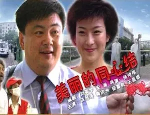 2003 中国大陆经典《美丽的同心结》国语中字 5.02GB 百度网盘资源