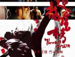 2004 中国大陆经典《柔道龙虎榜》1.47GB 百度网盘资源-小文资源网