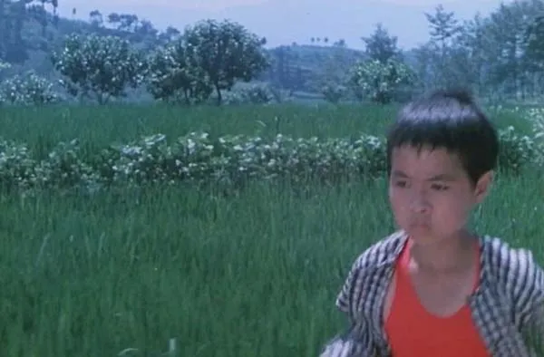 [1984][中国大陆]《清亮的小溪》[1.74GB][ 百度网盘]