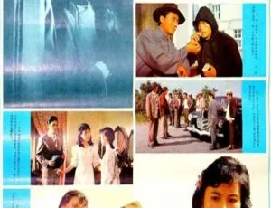 1984 中国经典《五号机要员》国语无字 1.16GB 百度网盘资源