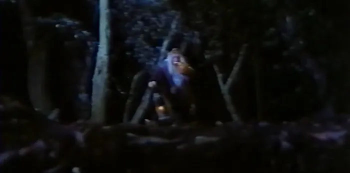 [1988][中国台湾][三头魔王][国语_中英字][MKV][1.29GB][百度网盘]