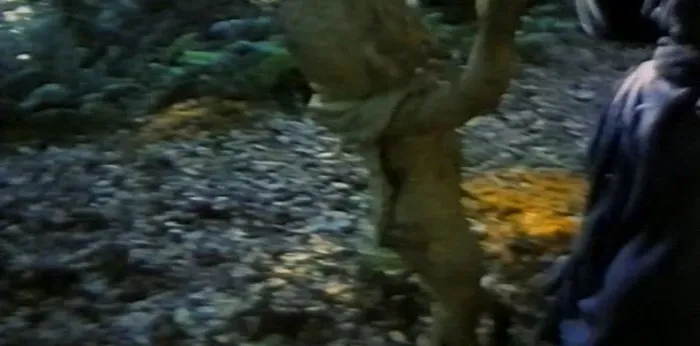 [1988][中国台湾][三头魔王][国语_中英字][MKV][1.29GB][百度网盘]
