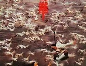1996 香港经典：太极拳功夫小子闯情关 国粤双语 442MB 百度盘资源-小文资源网