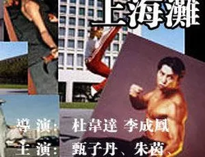 1998 香港经典《义侠勇闯上海滩》国语中字 13.52GB 百度网盘资源