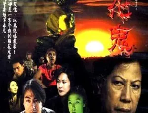 2002香港惊悚片阴阳路13花鬼 国粤中英字 991MB 百度网盘资源-小文资源网