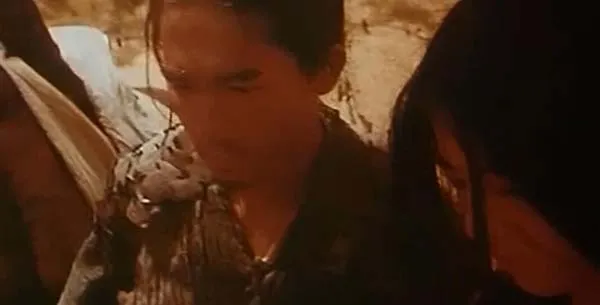 [中国香港][1994][剧情][东邪西毒][国语中字][642M][百度网盘]