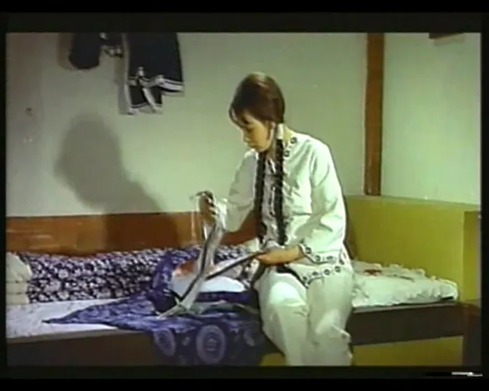 [1973][香港]《大小通吃》[国语无字][黄元申_胡锦_仓田保昭][mp4_734m]