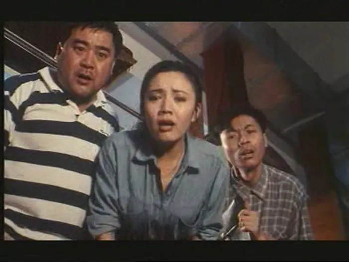 [1992][中国]《临时爸爸》[陈佩斯，徐琳，叶静][国语无字][352_288 MP4 835MB]