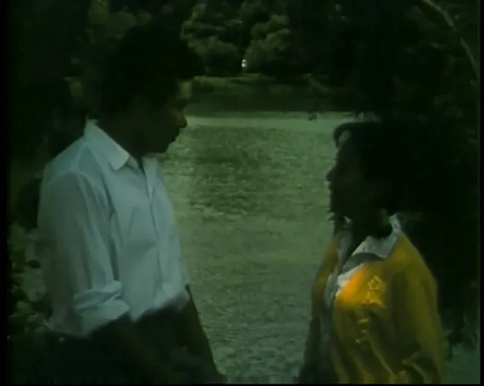 [1979][中国]《乳燕飞》[国语无字][1080p][1.93G_MP4]
