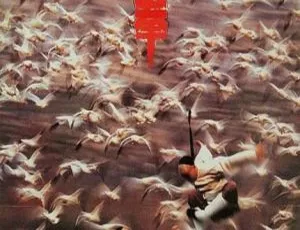 1996 香港经典功夫片《功夫小子闯情关》：国粤双语 高清资源