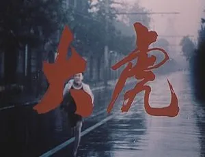 1981 中国大陆经典影片《大虎》 国语中字 2.08GB 百度网盘资源-小文资源网