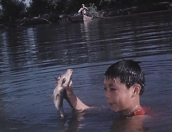 [1981][中国大陆]《大虎》[国语中字][2.08GB][ 百度网盘]