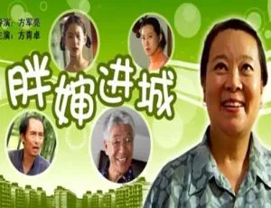 2006 中国大陆经典喜剧《胖婶进城》 国语中字 4.92GB 百度网盘资源-小文资源网