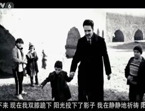 2014 意大利经典《如父如子》4.92GB 百度网盘资源