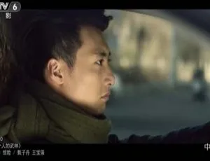 2013 中国大陆电影《如果没有你》4.76GB 百度网盘资源-小文资源网