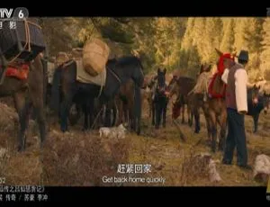 2017 中国大陆电影《戎肯》4.30GB 百度网盘资源-小文资源网