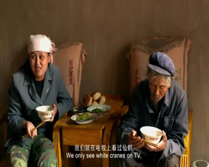 [2012][中国][告诉他们，我乘白鹤去了][国语中字][MKV][1004MB][百度网盘]
