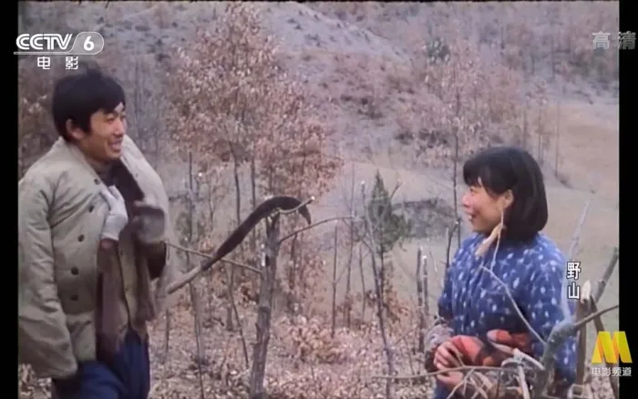 [1986][中国][野山][国语无字][FLV][570MB][百度网盘]