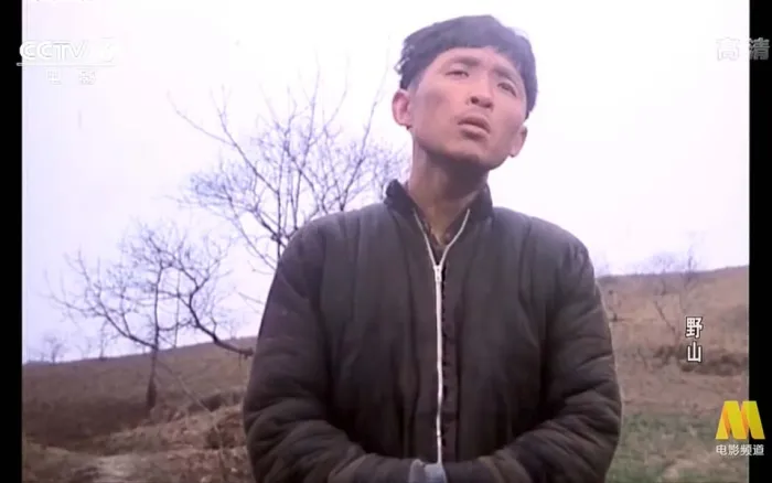 [1986][中国][野山][国语无字][FLV][570MB][百度网盘]