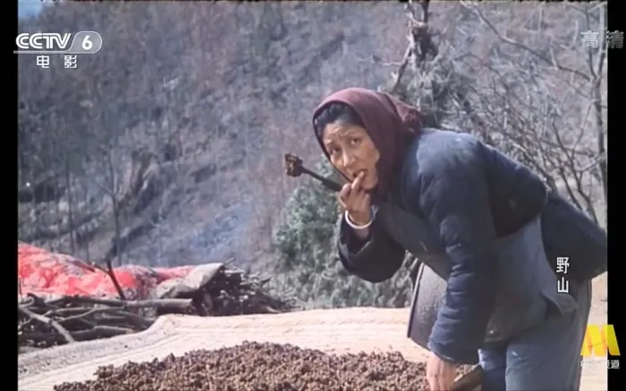 [1986][中国][野山][国语无字][FLV][570MB][百度网盘]