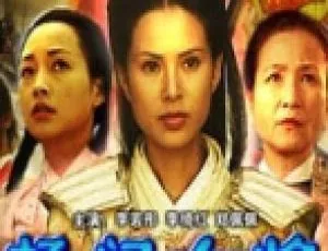 2004 中国经典：杨门女将大破天门阵 国语无字 3.78GB 百度网盘资源-小文资源网