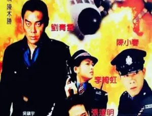1996 中国大陆经典港片《冲锋队之怒火街头》国语中字 2.44GB 百度网盘资源-小文资源网