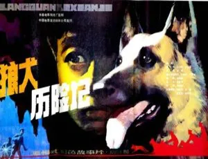 1985 中国大陆经典《狼犬历险记》国语中字 5.40GB 百度网盘资源-小文资源网