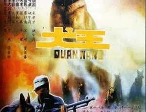 1993 中国大陆经典影片《犬王》国语中字 4.70GB 百度网盘资源-小文资源网
