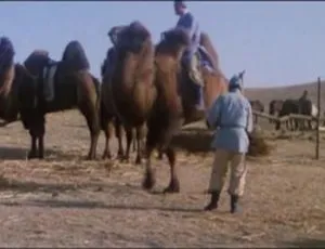 1985 中国大陆经典《木棉袈裟》国语中字 1.20GB 百度网盘资源-小文资源网
