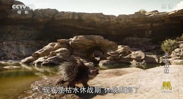 [2016][美国]《奇幻森林》[5.10GB][ 百度网盘]