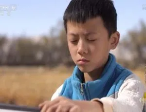 2018中国大陆《宁都拉》国语中字5.47GB 百度网盘资源-小文资源网