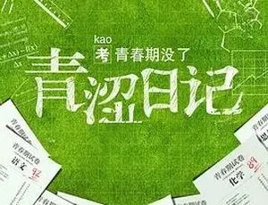 2015 必看喜剧爱情《青涩日记》 百度下载 4.21G 全 1 集-小文资源网