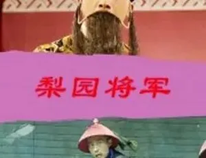 2016 爆款《梨园将军》 全 1 集 4.89G 汉语普通话 百度速下-小文资源网