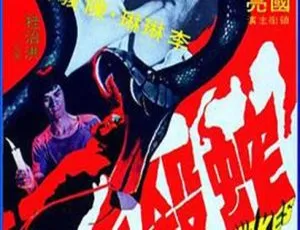 1974 香港经典《蛇杀手》国语中字 966MB 百度网盘资源-小文资源网