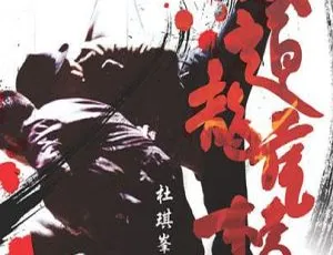 2004香港经典《柔道龙虎榜》国粤双语中字 6.53GB 百度网盘资源-小文资源网
