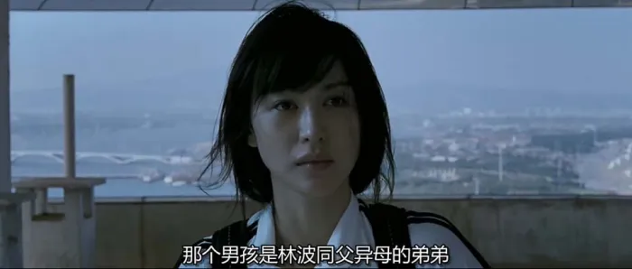 [2010][中国][日照重庆][国语中字][MKV][1.68GB][百度网盘]