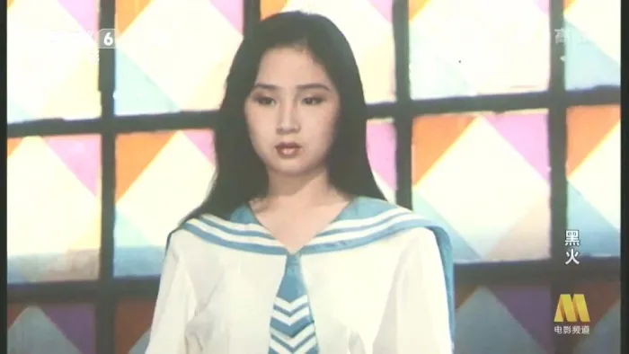 [1993][内地]《黑火》[国语无字][tsMKV_2.68GB]