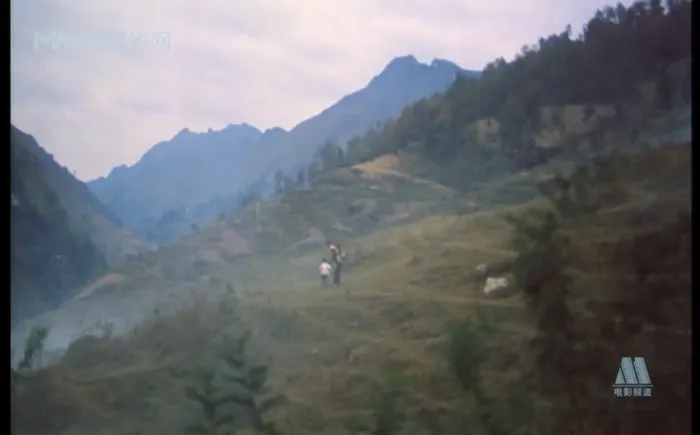 [1985][中国内地]《良家妇女》[张伟欣_王佳艺_丛珊_章键][国语_中英双字幕][MKV_1.16G]