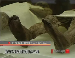 1080P 国语中字！2011 全年 305 集纪录片《走近科学》百度网盘资源
