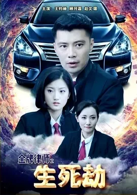 2018《金牌律师之生死劫》[汉语普通话/全1集4.89G][百度下载]