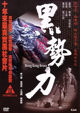 [2008][香港][再见古惑仔_黑势力_学校黑势力][国粤双语中字][RMVB][364MB][百度网盘]