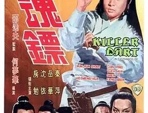 1968 香港经典《追魂镖》国语 AVI 版 698M 百度盘资源-小文资源网