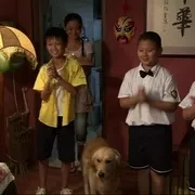 2009《狗也爱钻石》[汉语普通话/全1集5.05G][百度下载]