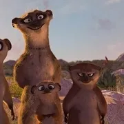 2013《斑马总动员 Khumba》[动画/家庭/冒险][中文字幕/全1集4.21G][百度下载]