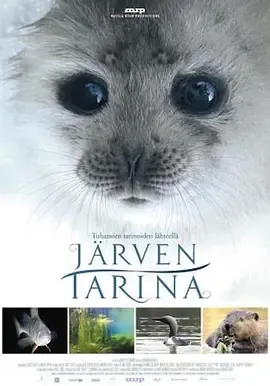 2016《湖泊的传说 Järven tarina》[中文字幕/全1集3.92G][百度下载]